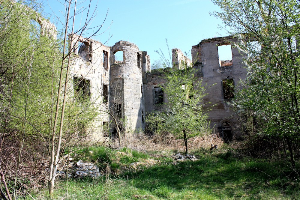 Schloss Haus Zeitz (bei Halle/Saale) › SachsenAnhalt